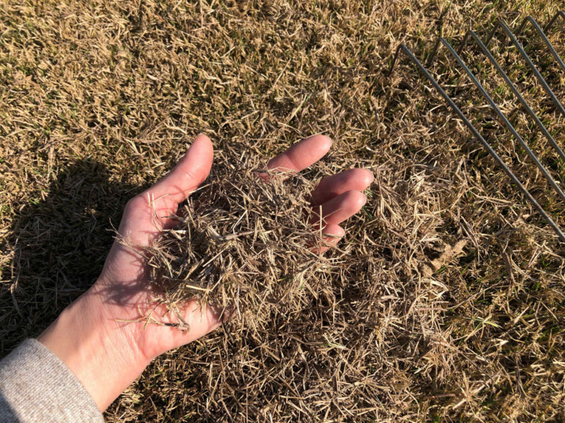 芝生の手入れの話 ホームパーティ 熊本でこだわりの新築を